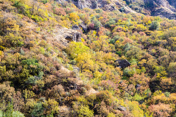 overgrown colorful slopes of river gorge near Geghard in Armenia on sunny autumn day