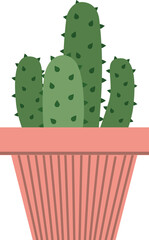 Cute cactus clear background