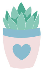 Cute succlent clear background