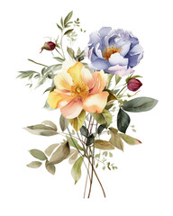 Watercolor illustration of a bouquet of flowers, isolated on white background