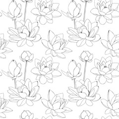 Lotus flowers drawn by graphics in vector seamless pattern. For interior print decoration, postcard, fabric, sketchbook cover.