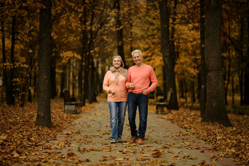 Naklejka na ściany i meble Elderly couple dance in the park in autumn.