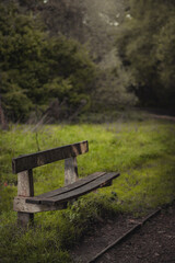 wooden bench in the park