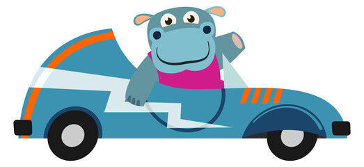 Funny hippo riding car. Cartoon baby animal