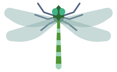 Dragonfly flat icon. Winged flying color insect