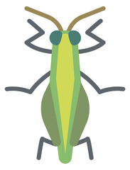 Grasshopper flat icon. Green insect. Wild fauna