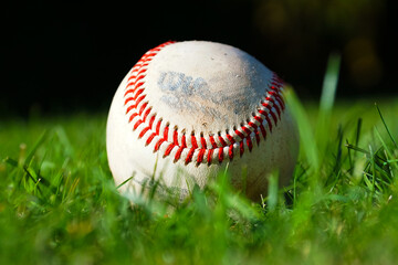 Wilson Baseball