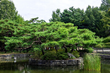 Fototapeta na wymiar The Korean traditional beautiful garden.