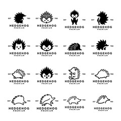 Hedgehog Logo icon design illustration