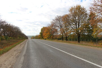 Fototapeta premium A road with trees on either side