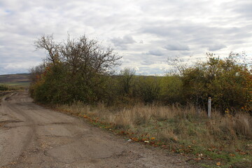 A road with grass and trees on the side