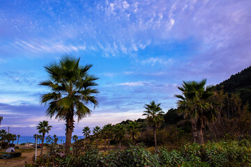 The beautiful sunrise time landscape and sky at dawn.