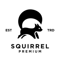 Squirrel logo icon design illustration