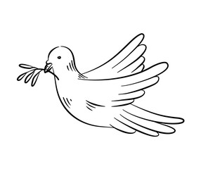 A dove with an olive branch, Peace day concept. Hand drawn line style.	