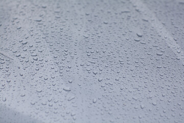 Droplets on the car surface.