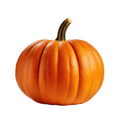 Orange Autumn Pumpkin