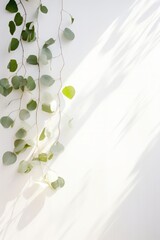 Shadows of eucalyptus leaves, branches over white wall. Summer background, sunlight overlay, empty copy space, vertical