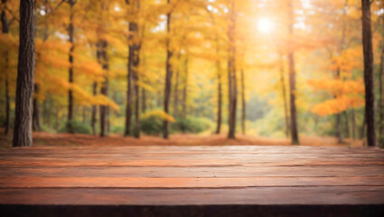 Naklejka na ściany i meble A wooden deck in the woods with fall trees in the background. The trees have orange and yellow leaves with sunlight streaming through them