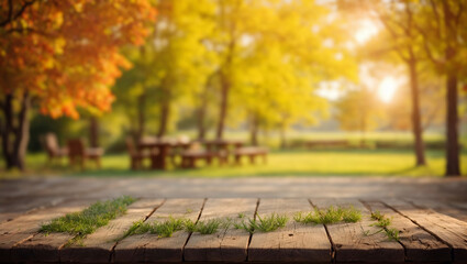 The patio is made of wooden planks with grass sprouting between them. In the background, you can see trees with yellow and orange leaves and the bright sun shining through them - obrazy, fototapety, plakaty