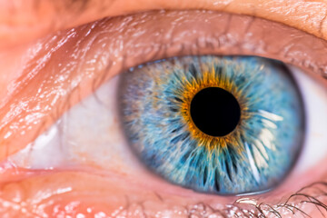 close-up of a blue eye with a black pupil and yellow and orange flecks in the iris. The photo is taken at a side angle, eyelid and eyelashes are visible. The eye is in sharp focus.