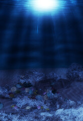 3D Underwater coral reef