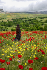 A girl with long hair in a field of red flowers in the highlands in spring
A girl with long hair in a field of red flowers in the highlands in spring
