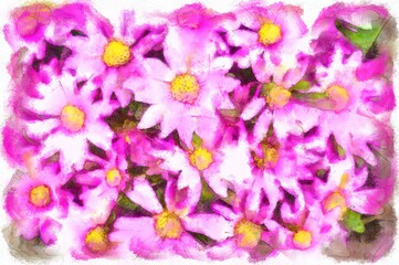 Fototapeta na wymiar Pink daisy flowers digital watercolors