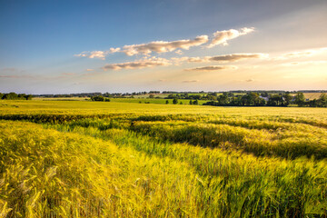 Vue sur la campagne en France et les blé au printemps sous un ciel d'orage.