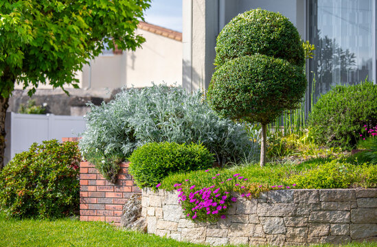 Am&eacute;nagement de jardin paysag&eacute;, plante et fleur au pied d'une maison moderne.