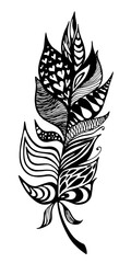 Feather. Line art hand drawn illustration. Doodle art. Black vector sketch isolated on transparent background.