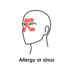 Allergy or sinus color icon. Vector isolated illustration