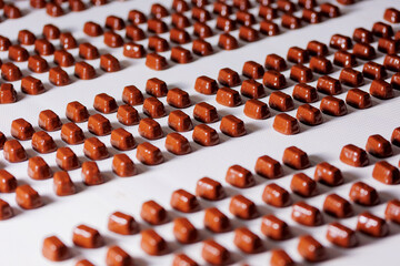 Sweets candy with chocolate on conveyor line factory. Process cocoa glazing.