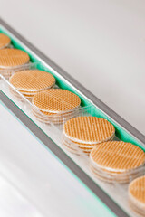 Waffle cookie move on automation conveyor line for production, modern bakery factory process