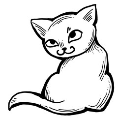 Cat cute, sweet with funny face. Lovely fluffy kitten best friend with big eyes. Home pet for baby, kids, boy or girl and family. Hand drown character. Cute lovely cartoon illustration drawn by hand.