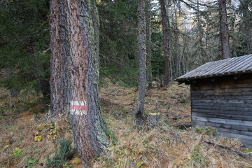 cabin in the woods on a swiss hiking trail with a white red/rot weiss hiking trail sign in engadin, swiss national park