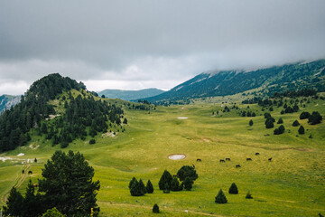 View of the alpine meadows, forest, and cliffs of the Vallon De Combeau natural reserve near...