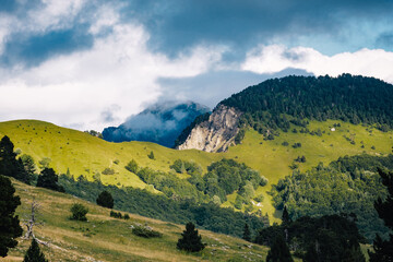 Fototapeta na wymiar View of the alpine meadows, forest, and cliffs of the Vallon De Combeau natural reserve near Chatillon en Diois in the south of France (Drome)