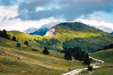 View of the alpine meadows, forest, and cliffs of the Vallon De Combeau natural reserve near...