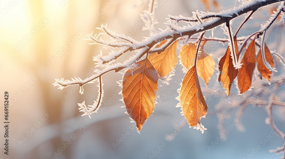 Poster a branch of a birch tree covered in frost, with the background blurred to emphasize the delicate det