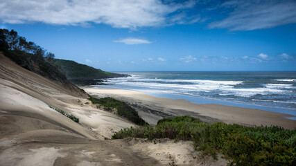 Fototapeta na wymiar beach, dunes and sea at the wild coast in Transkei, South Africa, close to Morgan Bay