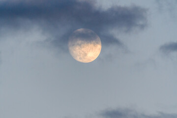 Naklejka na ściany i meble Closeup of Golden Moon in Gray Cloudy Sky at Sunset 