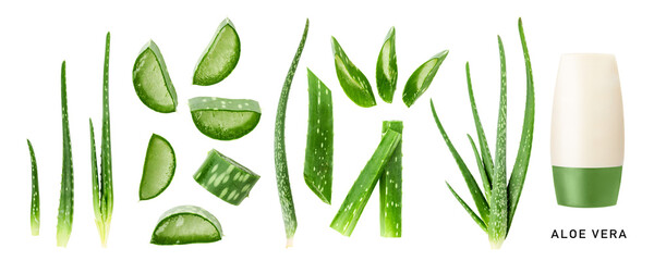 Aloe vera plant set isolated. PNG with transparent background. Flat lay. Without shadow.