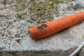 Agricultural pests have caused damage to a large number of farmlands and reduced yields, losses in production, insurance against pests and diseases of crops