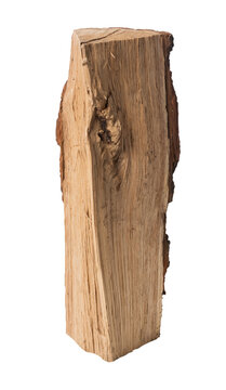 Standing stump isolated white png image