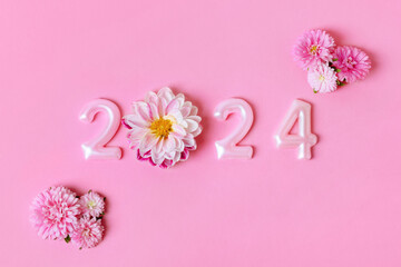 Pink numbers and pink dahlia aster flowers on a pink background. 2024 new year idea concept. Simple...