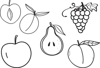Coloring page with fruits in vector