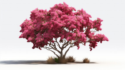 Fototapeta premium abstract pink or purple tree isolated on white background