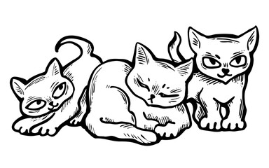 Cute cats friends sitting together. Decorative border, banner, postcard, poster print for kids room or birthday. Logo design for veterinary. Hand drawn illustration. Cartoon style character drawing.
