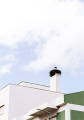 Stork in a nest on the roof of a house on a cloudy day