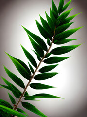 Fir branch painted background realistic neutral.